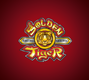golden tiger