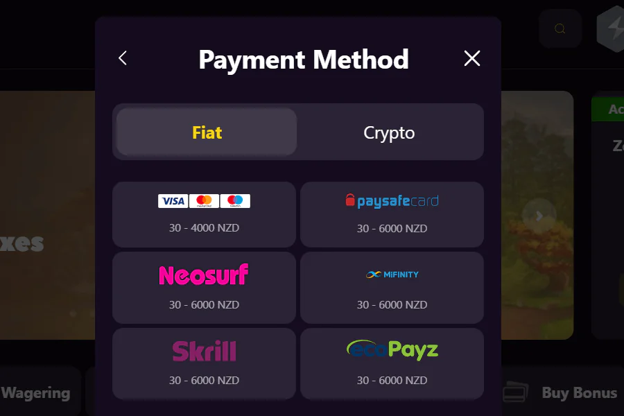 Zoome Choose Payment Method